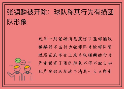 张镇麟被开除：球队称其行为有损团队形象
